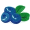 Голубики утюжат на изготовленном на заказ вышитом цвете Twill материальном PMS заплат